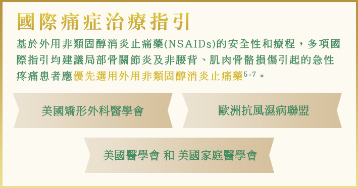 International Pain Treatment Guidelines